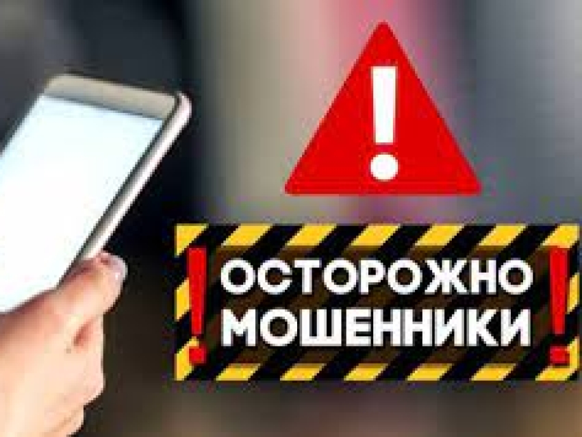 О проблеме распространения хищений, совершенных путем краж и мошенничеств, с использованием компьютерных и телекоммуникационных технологий